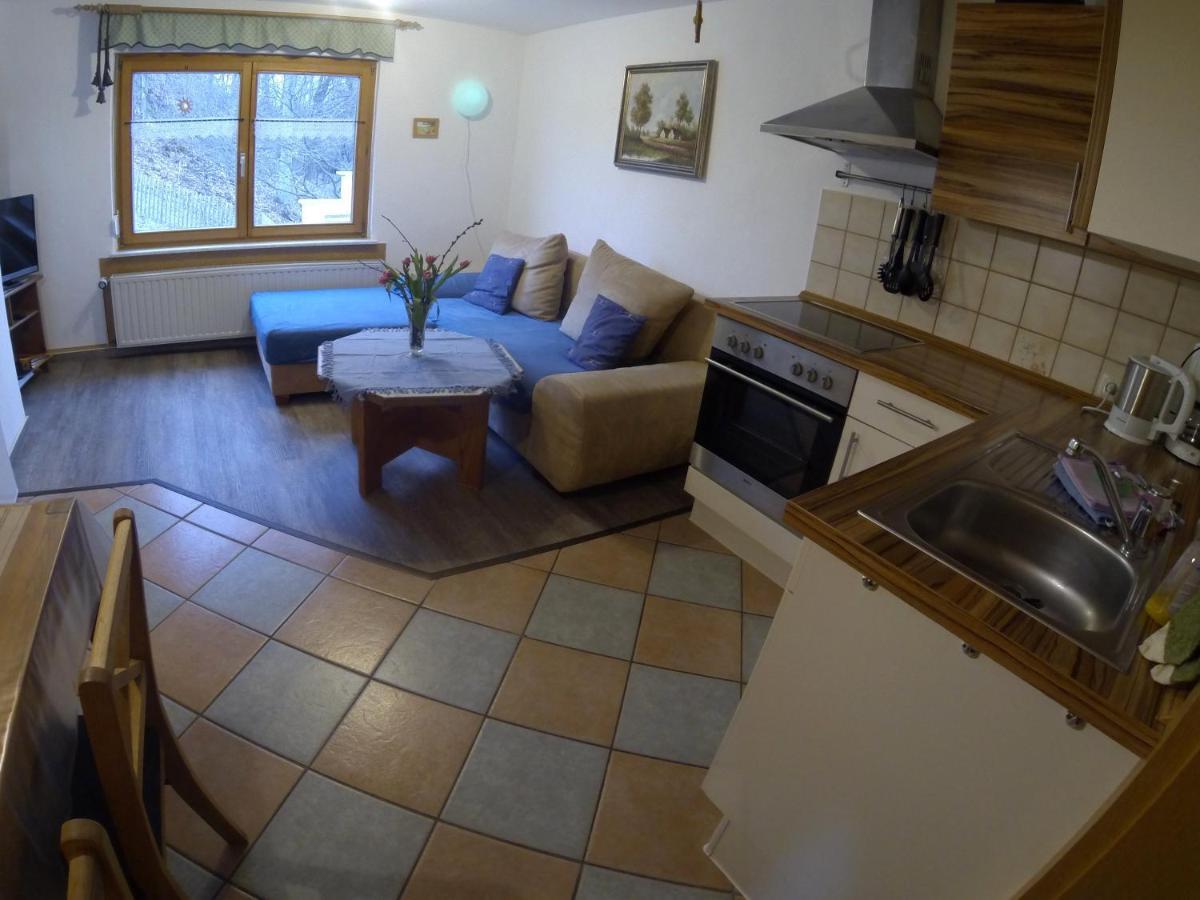 Berghof Apartment Zeulenroda-Triebes Ruang foto