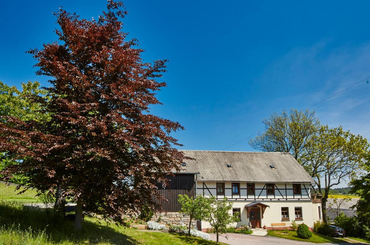 Berghof Apartment Zeulenroda-Triebes Bagian luar foto